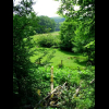 Der Wald gibt den Blick frei auf die Wiesen