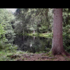 Ein idyllischer kleiner Bergsee