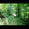 Nun fuehrt der Waldweg wieder zur Strasse runter